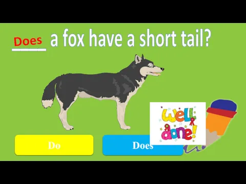 Do ____ a fox have a short tail? Does Does