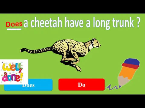 Do ___ a cheetah have a long trunk ? Does Does