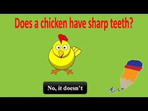 Does a chicken have sharp teeth? No, it doesn’t