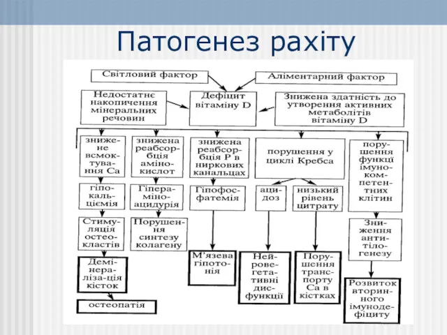 Патогенез рахіту