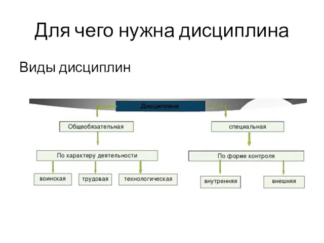 Для чего нужна дисциплина Виды дисциплин