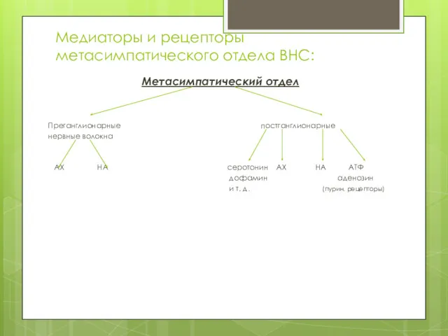 Медиаторы и рецепторы метасимпатического отдела ВНС: Метасимпатический отдел Преганглионарные постганглионарные