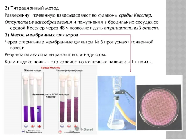 2) Титрационный метод Разведенну почвенную взвесьзасевают во флаконы среды Кесслер.