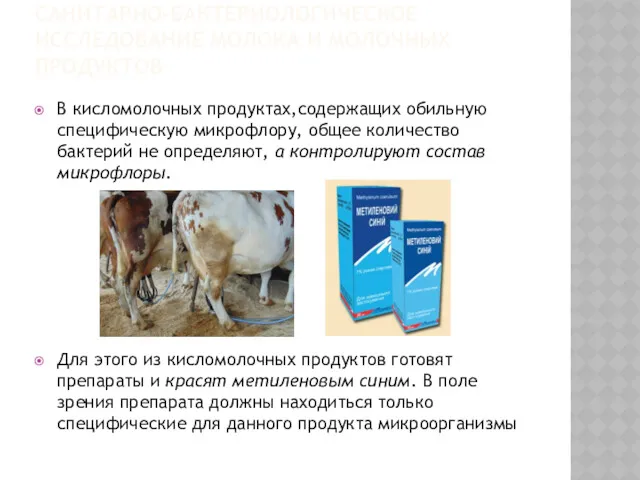 САНИТАРНО-БАКТЕРИОЛОГИЧЕСКОЕ ИССЛЕДОВАНИЕ МОЛОКА И МОЛОЧНЫХ ПРОДУКТОВ В кисломолочных продуктах,содержащих обильную