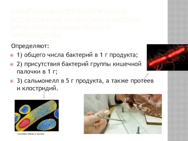 САНИТАРНО-БАКТЕРИОЛОГИЧЕСКОЕ ИССЛЕДОВАНИЕ КОЛБАСНЫХ И МЯСНЫХ ПРОДУКТОВ ПРОМЫШЛЕННОГО ПРОИЗВОДСТВА Определяют: 1)