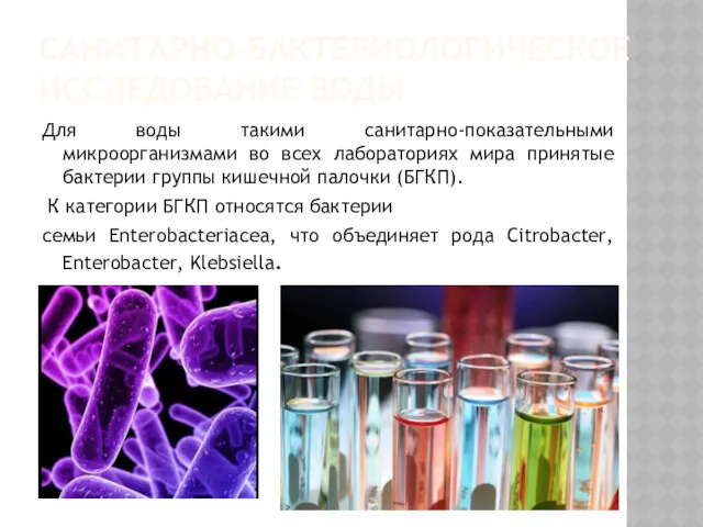 САНИТАРНО-БАКТЕРИОЛОГИЧЕСКОЕ ИССЛЕДОВАНИЕ ВОДЫ Для воды такими санитарно-показательными микроорганизмами во всех