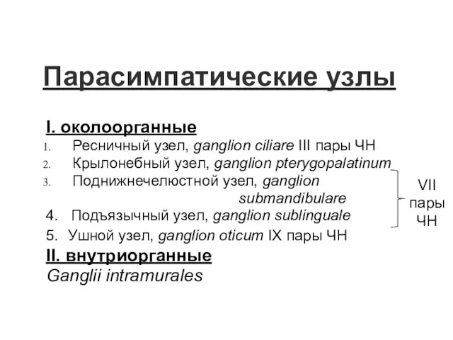 Парасимпатические узлы I. околоорганные Ресничный узел, ganglion ciliare III пары