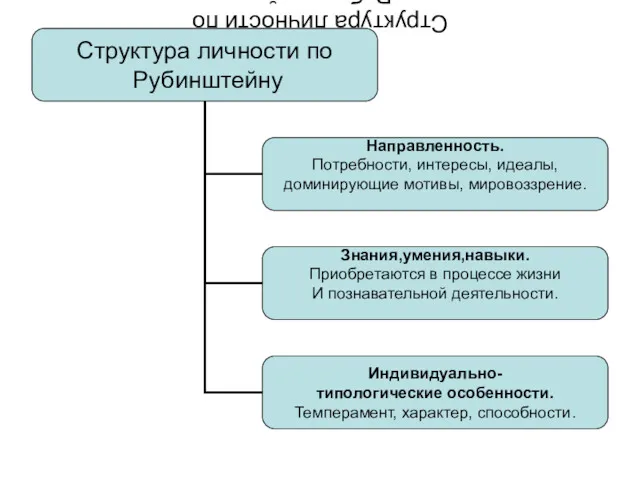 Структура личности по Рубинштейну