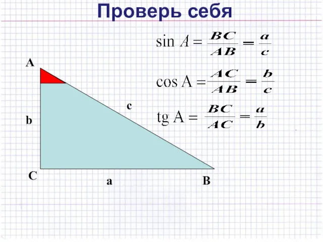 Проверь себя А С В b c a