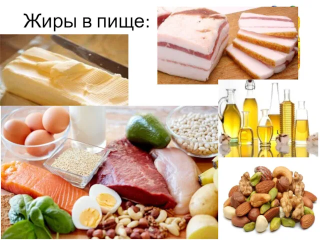 Жиры в пище: