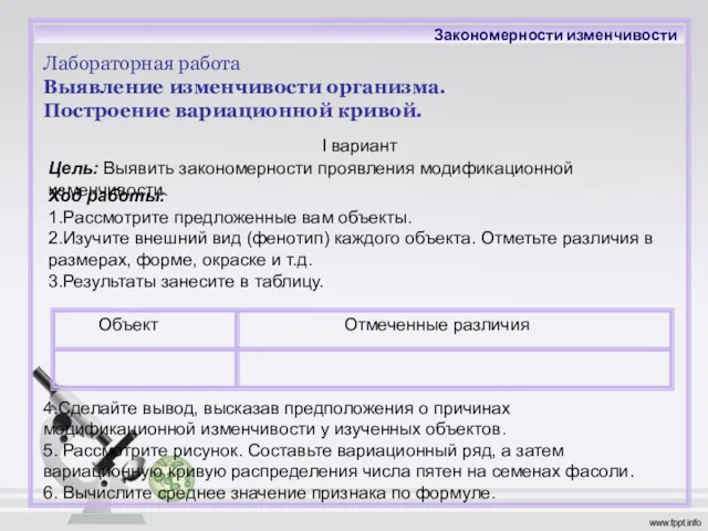 Лабораторная работа Выявление изменчивости организма. Построение вариационной кривой. Цель: Выявить