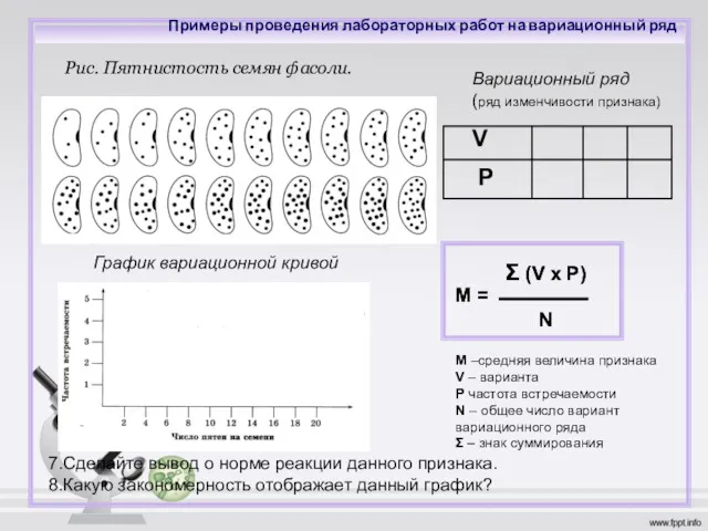 Рис. Пятнистость семян фасоли. График вариационной кривой Вариационный ряд (ряд