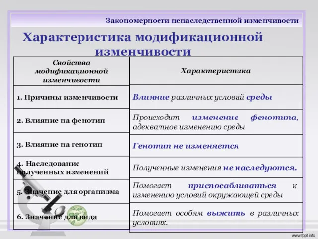 Закономерности ненаследственной изменчивости Характеристика модификационной изменчивости