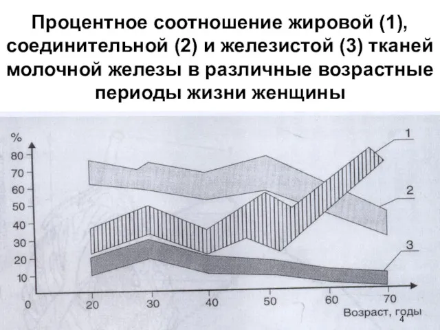 Процентное соотношение жировой (1), соединительной (2) и железистой (3) тканей