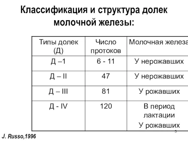 Классификация и структура долек молочной железы: J. Russo,1996