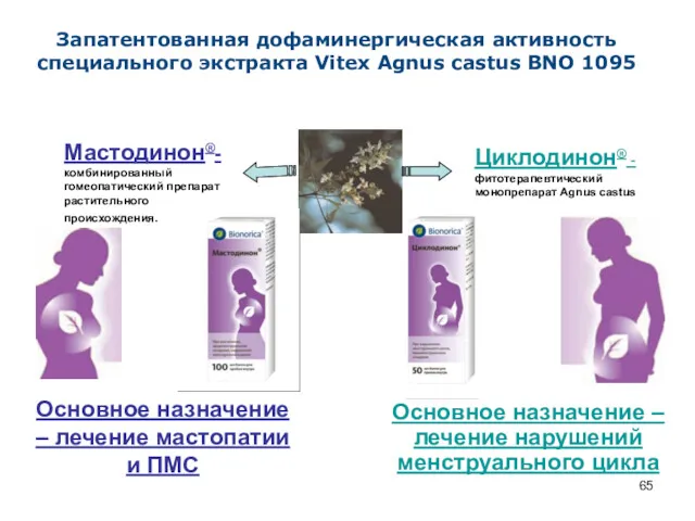 Запатентованная дофаминергическая активность специального экстракта Vitex Agnus castus BNO 1095