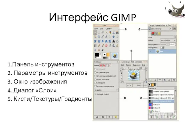 Интерфейс GIMP 1.Панель инструментов 2. Параметры инструментов 3. Окно изображения 4. Диалог «Слои» 5. Кисти/Текстуры/Градиенты