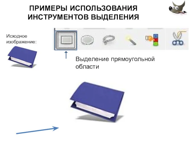 ПРИМЕРЫ ИСПОЛЬЗОВАНИЯ ИНСТРУМЕНТОВ ВЫДЕЛЕНИЯ Выделение прямоугольной области