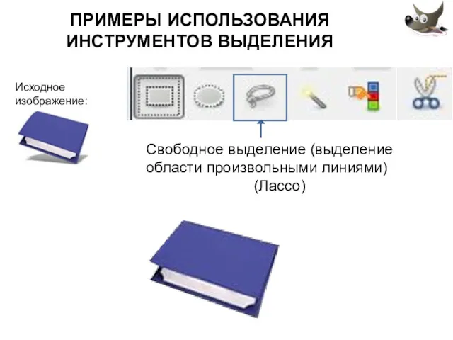 ПРИМЕРЫ ИСПОЛЬЗОВАНИЯ ИНСТРУМЕНТОВ ВЫДЕЛЕНИЯ Свободное выделение (выделение области произвольными линиями) (Лассо)