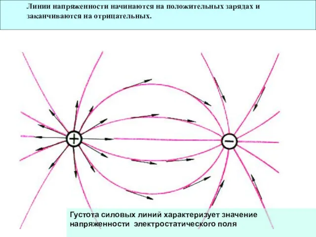 Линии напряженности начинаются на положительных зарядах и заканчиваются на отрицательных.