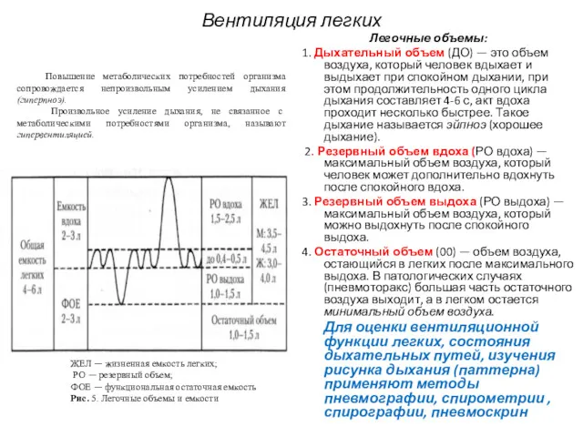 Вентиляция легких Легочные объемы: 1. Дыхательный объем (ДО) — это