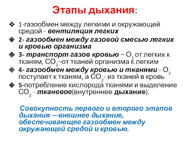 Этапы дыхания: 1-газообмен между легкими и окружающей средой - вентиляция