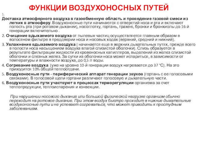 ФУНКЦИИ ВОЗДУХОНОСНЫХ ПУТЕЙ 1. Доставка атмосферного воздуха в газообменную область