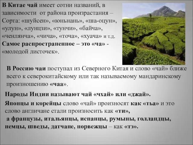 В Китае чай имеет сотни названий, в зависимости от района