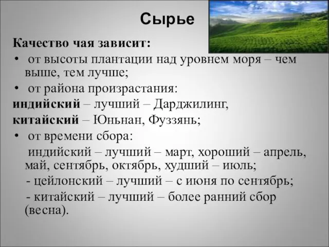 Сырье Качество чая зависит: от высоты плантации над уровнем моря