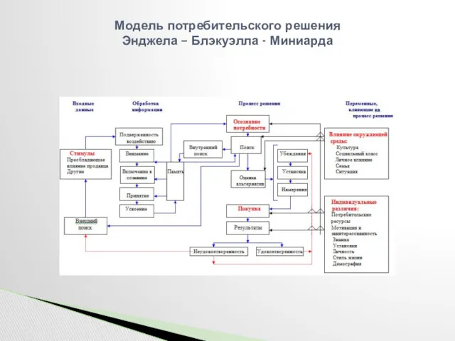 Модель потребительского решения Энджела – Блэкуэлла - Миниарда