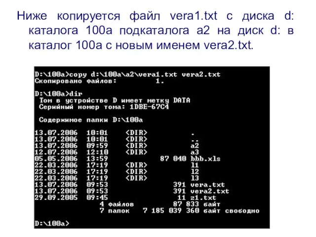 Ниже копируется файл vera1.txt с диска d: каталога 100a подкаталога