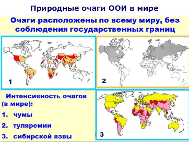 Природные очаги ООИ в мире