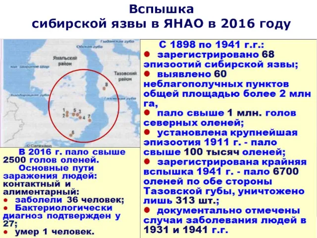 Вспышка сибирской язвы в ЯНАО в 2016 году