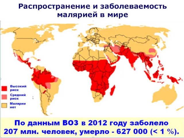 Распространение и заболеваемость малярией в мире