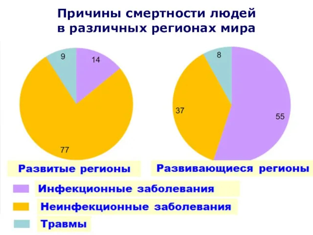 Причины смертности людей в различных регионах мира