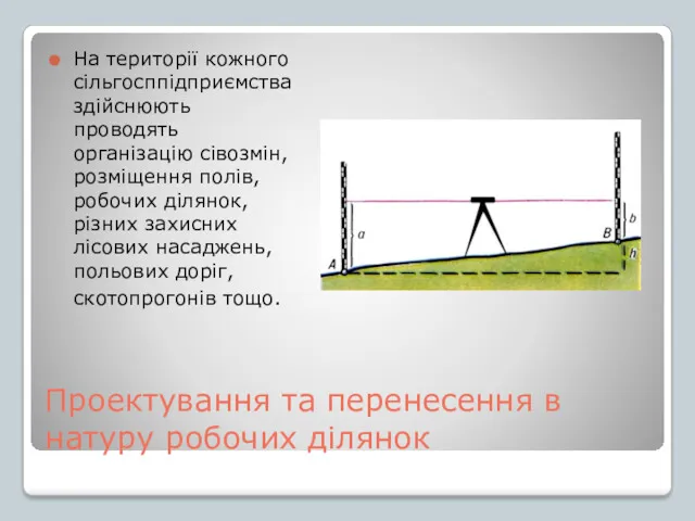 Проектування та перенесення в натуру робочих ділянок На території кожного