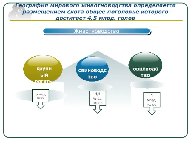 Животноводство География мирового животноводства определяется размещением скота общее поголовье которого