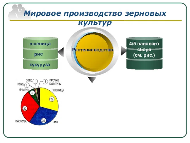 Мировое производство зерновых культур