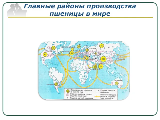 Главные районы производства пшеницы в мире