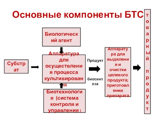 Основные компоненты БТС Биологический агент Аппаратура для осуществления процесса культивирования