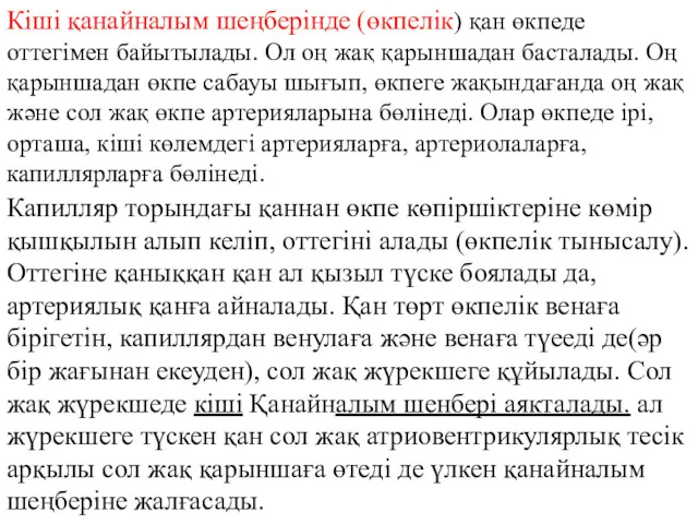 Кіші қанайналым шеңберінде (өкпелік) қан өкпеде оттегімен байытылады. Ол оң