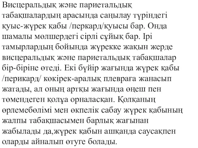 Висцеральдық және париетальдық табақшалардың арасында саңылау түріндегі қуыс-жүрек қабы /перкард/қуысы