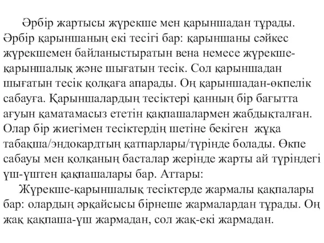 Әрбір жартысы жүрекше мен қарыншадан тұрады. Әрбір қарыншаның екі тесігі