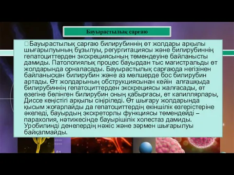 Бауырастылық сарғаю билирубиннің өт жолдары арқылы шығарылуының бұзылуы, регургитациясы және