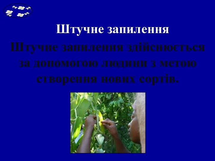 Штучне запилення Штучне запилення здійснюється за допомогою людини з метою створення нових сортів.