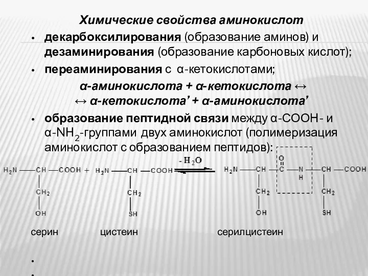 Химические свойства аминокислот декарбоксилирования (образование аминов) и дезаминирования (образование карбоновых