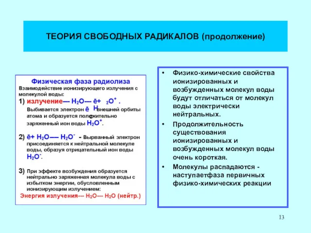 ТЕОРИЯ СВОБОДНЫХ РАДИКАЛОВ (продолжение) Физико-химические свойства ионизированных и возбужденных молекул воды будут отличаться