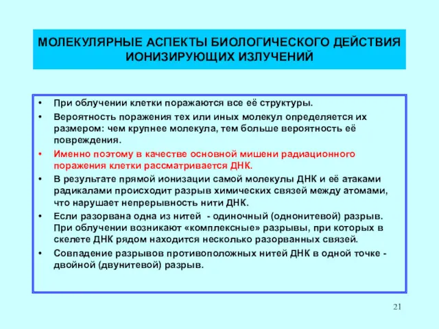 МОЛЕКУЛЯРНЫЕ АСПЕКТЫ БИОЛОГИЧЕСКОГО ДЕЙСТВИЯ ИОНИЗИРУЮЩИХ ИЗЛУЧЕНИЙ При облучении клетки поражаются все её структуры.