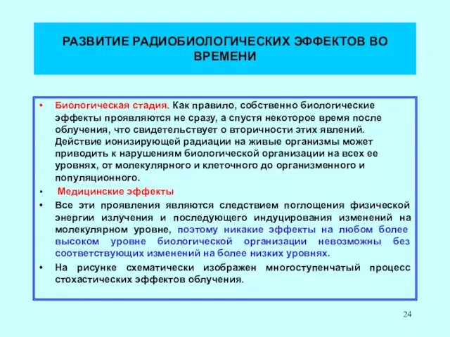 РАЗВИТИЕ РАДИОБИОЛОГИЧЕСКИХ ЭФФЕКТОВ ВО ВРЕМЕНИ Биологическая стадия. Как правило, собственно биологические эффекты проявляются