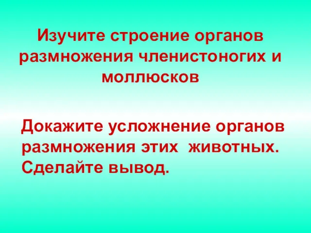 Изучите строение органов размножения членистоногих и моллюсков Докажите усложнение органов размножения этих животных. Сделайте вывод.